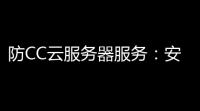 防CC云服务器服务：安全云端保障，助力企业数字化转型